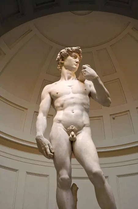 Statue of David, Galleria dell Accademia, Florence, Italy