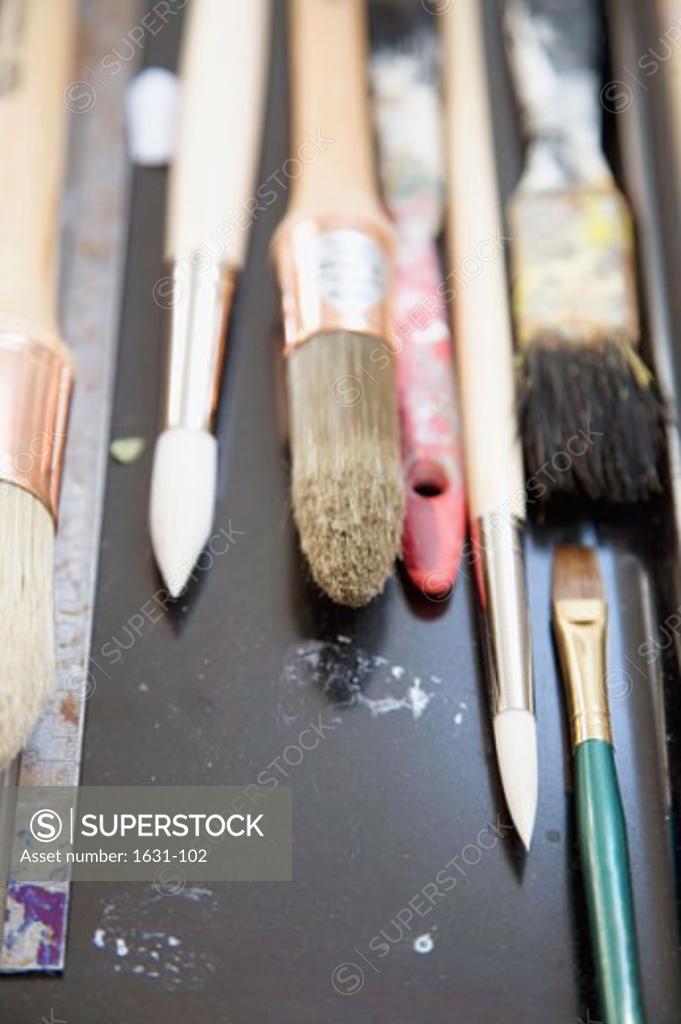 Stock Photo: 1631-102 High angle view of paintbrushes