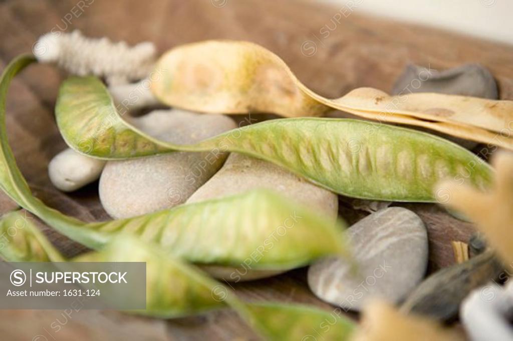 Stock Photo: 1631-124 Close-up of beans on pebbles
