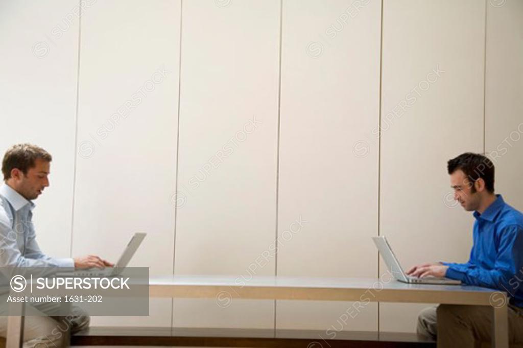 Stock Photo: 1631-202 Side profile of two businessmen using their laptops