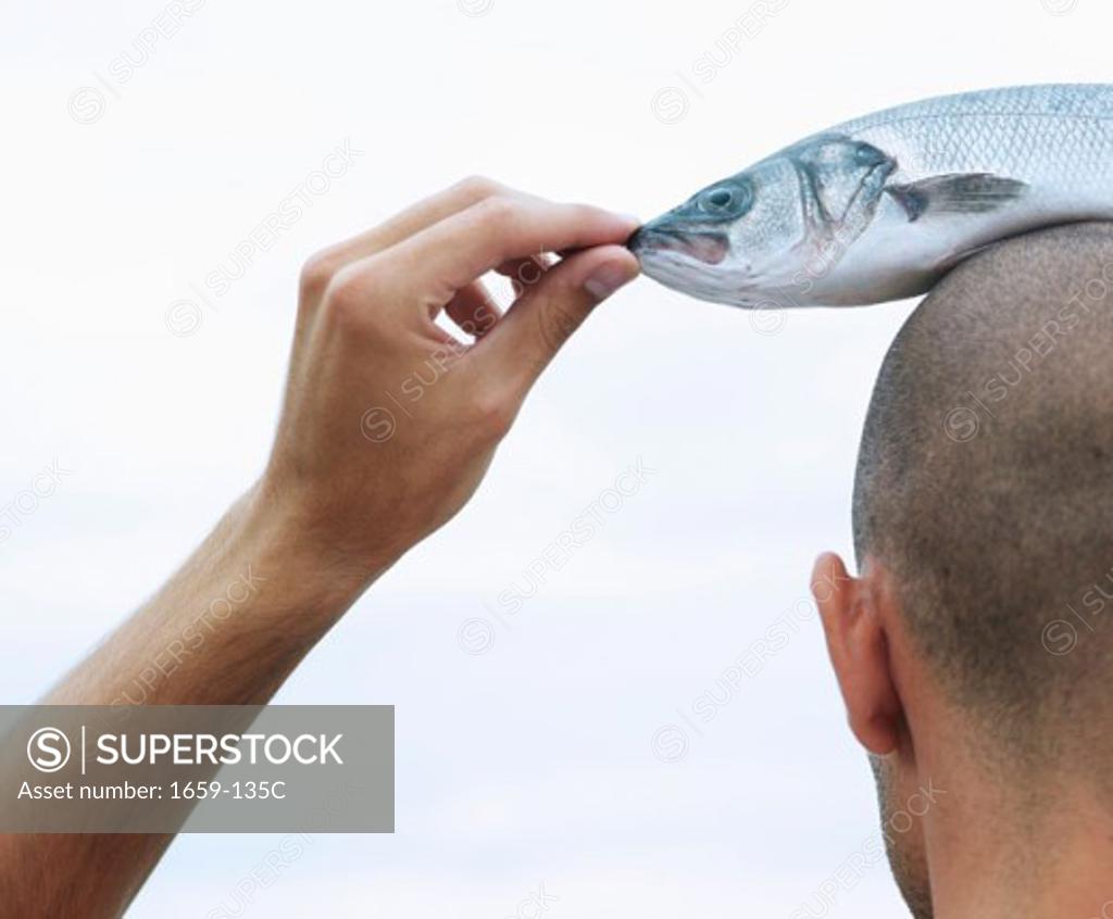 Stock Photo: 1659-135C Rear view of a young man with a dead fish on his head