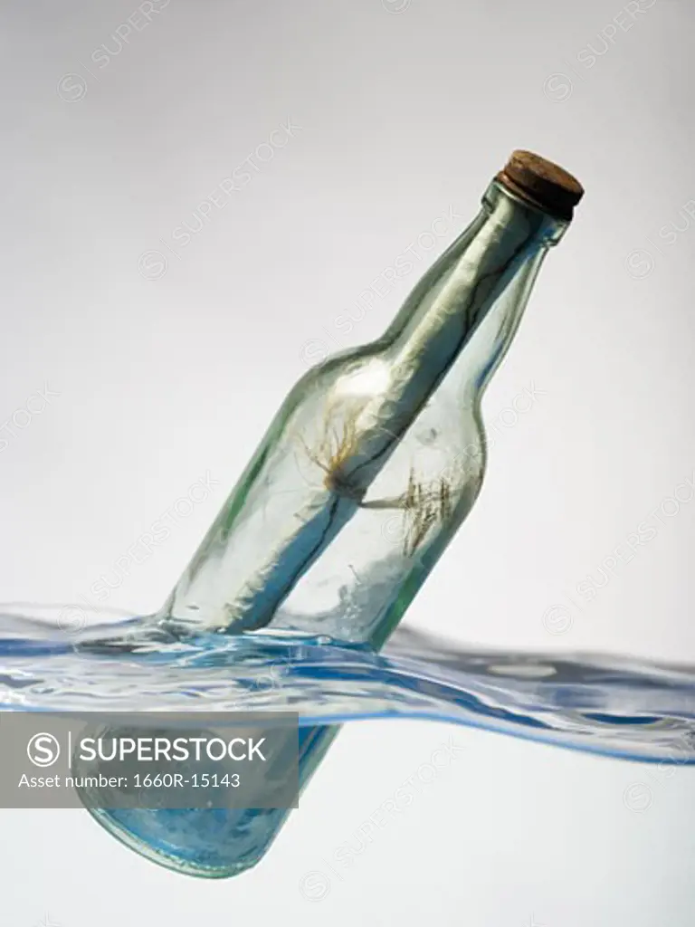 Message in a floating bottle