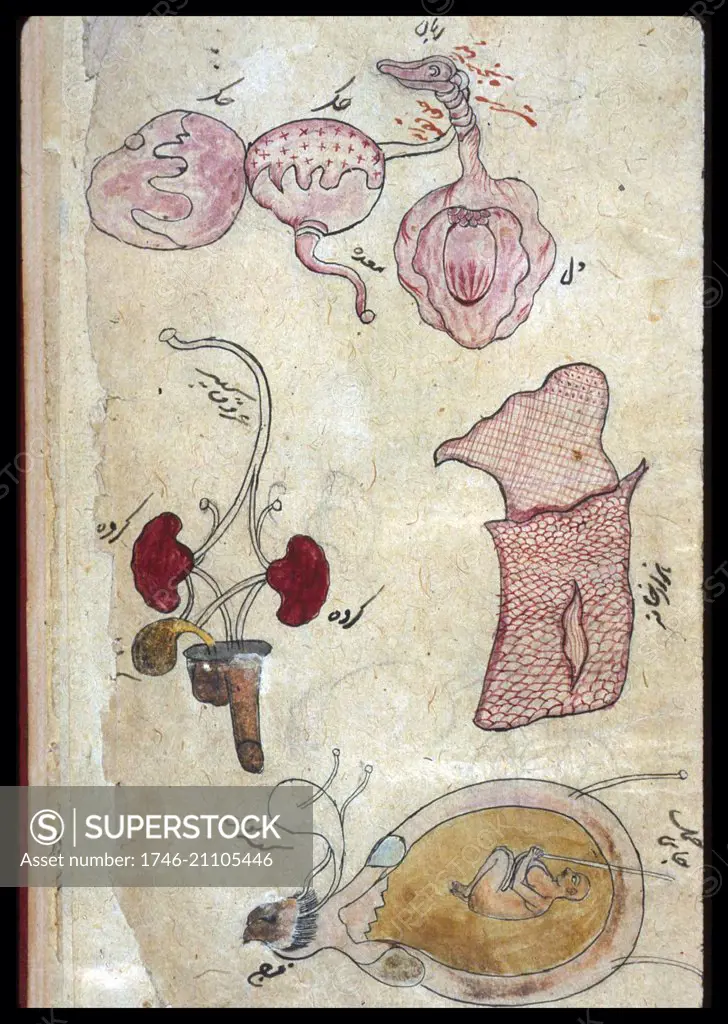 160 Akbar, the Great Mughal ideas | mughal, mughal paintings, emperor