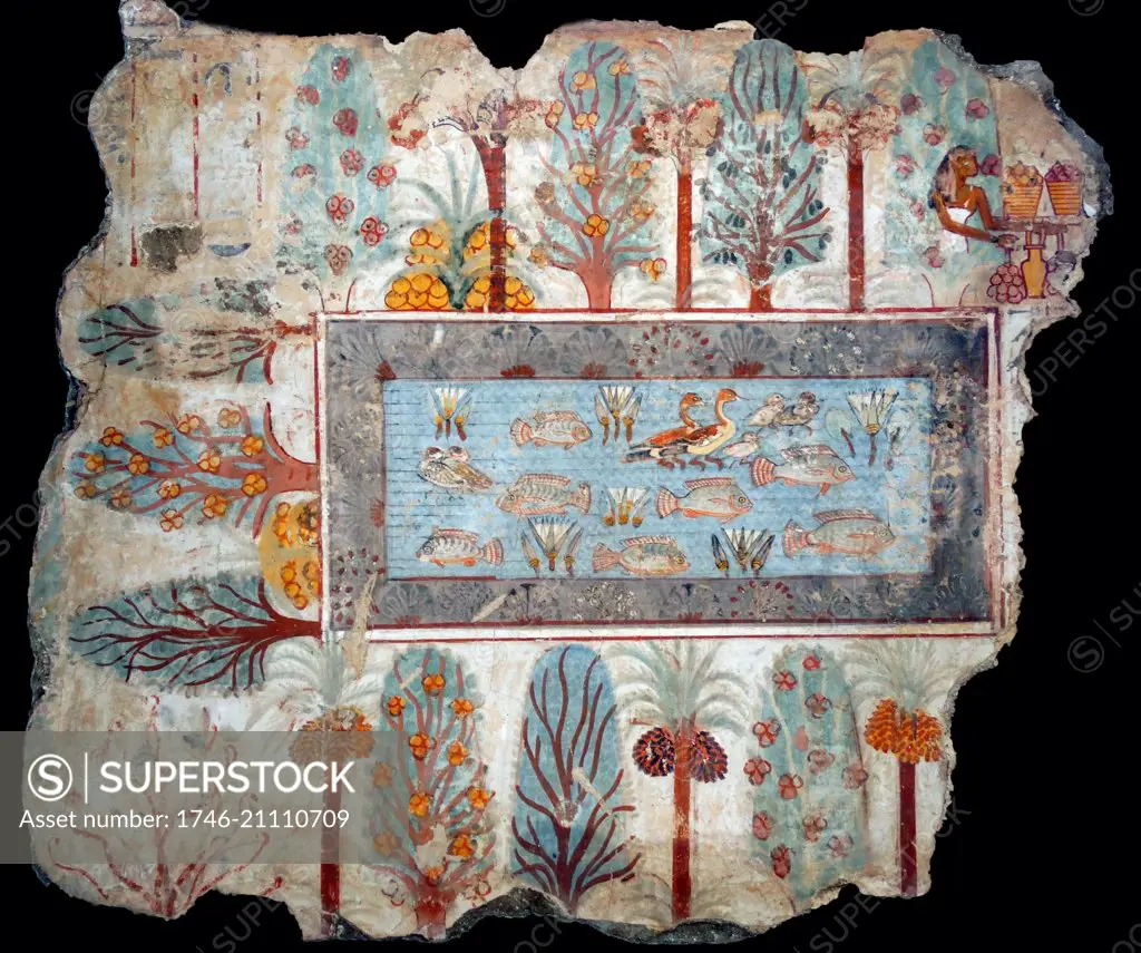 Fresco from the tomb of Nebamun, shows a pool in a garden that might have belonged to Nebamun. The pool is full of birds, lotus flowers and tilapia fish, while papyrus grows along the edge. Around the pool are palms, dom-palms, sycamore fig, mandrakes, and other bushes. Thebes, Egypt 18th Dynasty, around 1350 BC