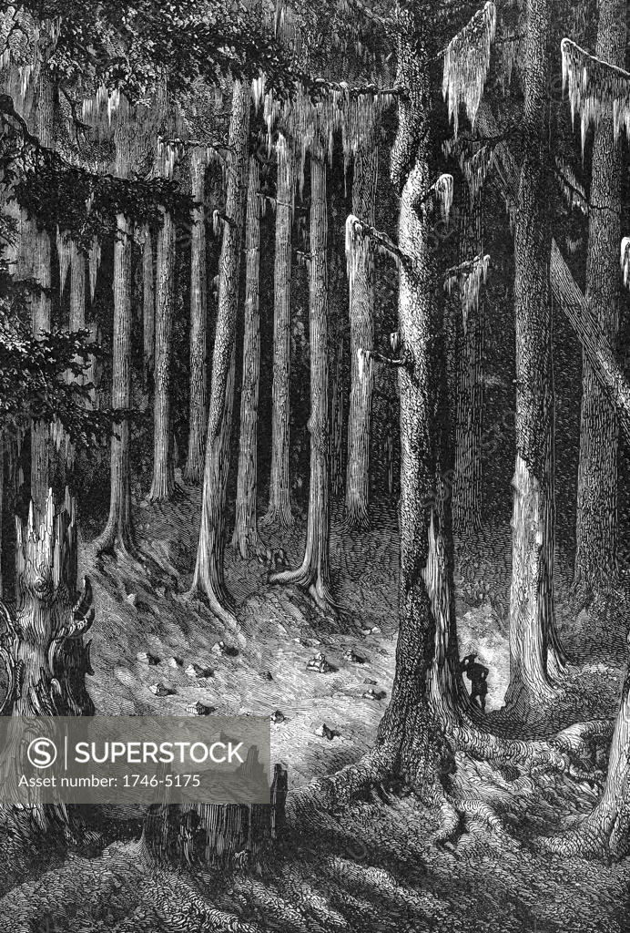 Stock Photo: 1746-5175 Yosemite National Park: on the way through the forest to the Big Trees. Yosemite designated as a state park in 1864, then made a national park in 1890 together with surrounding territory. Wood engraving c1875