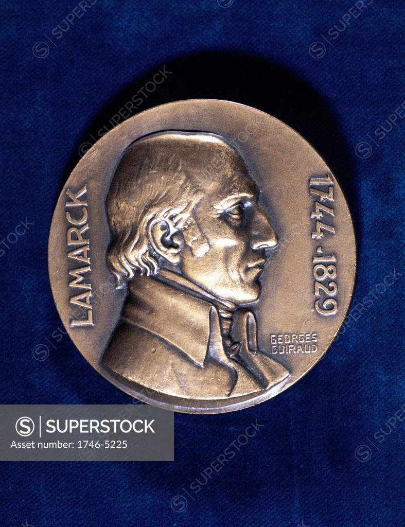 Stock Photo: 1746-5225 Jean Lamarck (1744-1829) French naturalist. 'Transformism' theory of evolution (inheritance of acquired characteristics). Obverse of commemorative medal.