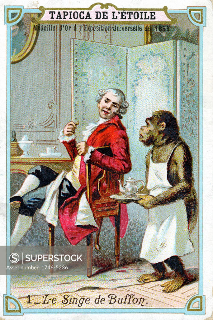 Stock Photo: 1746-5236 Georges-Louis Leclerc, Comte de Buffon (1707-88) French naturalist, being waited on by his trained chimpanzee. French trade card issued c1890. Chromolithograph.