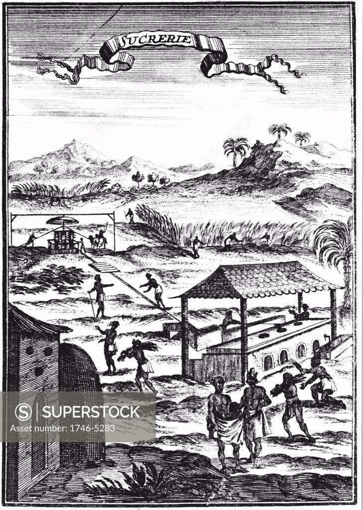 Stock Photo: 1746-5283 Sugar factory and plantation in the West Indies. Copperplate engraving from Allain Manesson Mallet Description de l'Univers ƒ Frankfurt-am-Main 1686. Cane crushed in horse or mule-powered mill with vertical rollers, centre left, juice gravity-fed to tanks by boiling house. Engraving.