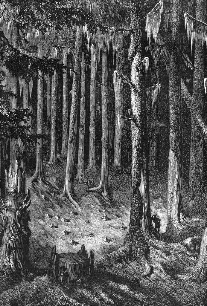 Yosemite National Park: on the way through the forest to the Big Trees. Yosemite designated as a state park in 1864, then made a national park in 1890 together with surrounding territory. Wood engraving c1875