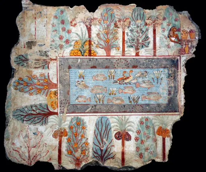 Fresco from the tomb of Nebamun, shows a pool in a garden that might have belonged to Nebamun. The pool is full of birds, lotus flowers and tilapia fish, while papyrus grows along the edge. Around the pool are palms, dom-palms, sycamore fig, mandrakes, and other bushes. Thebes, Egypt 18th Dynasty, around 1350 BC