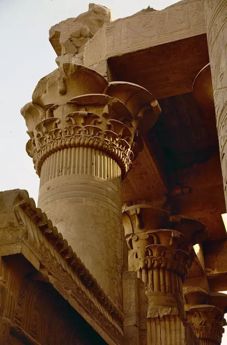 Elaborate capitals, with plant like motifs, on the pillars at the temple of Kom Ombo, Egypt.