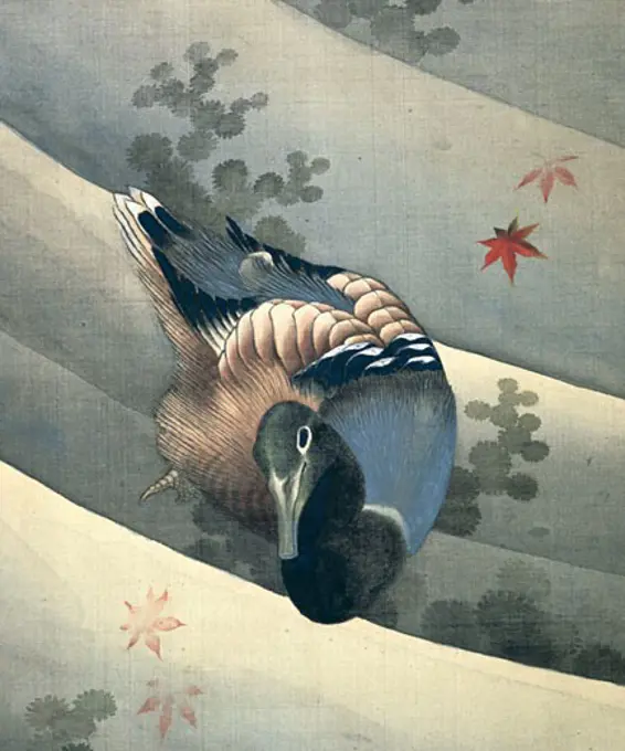 Duck Swimming in Water by Katsushika Hokusai,  1770-1849,  ink and colors on silk,  1847