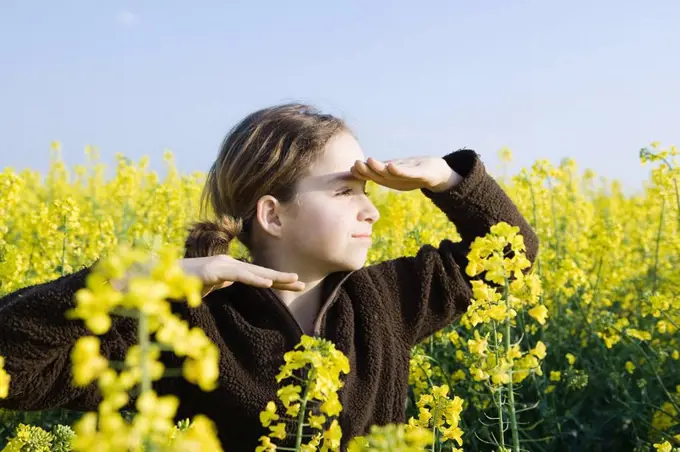 Girl standing in field of canola in bloom, shading eyes and looking into distance