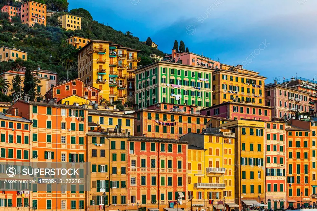 Detail of colorful hotels and apartments on hillside, Camogli, Liguria, Italy