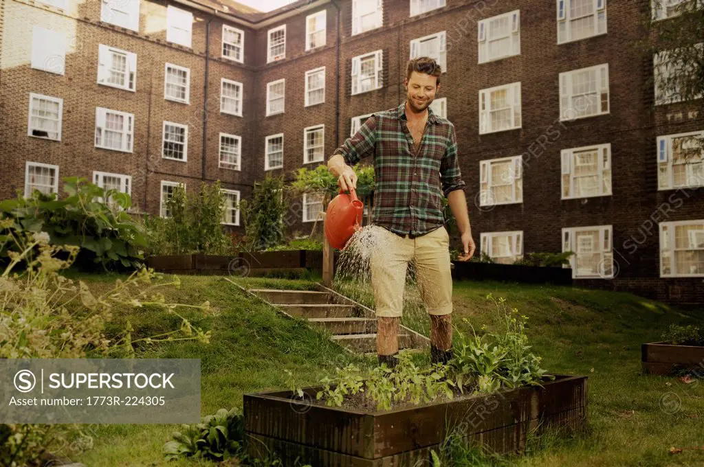 Mid adult man watering raised beds on council estate allotment