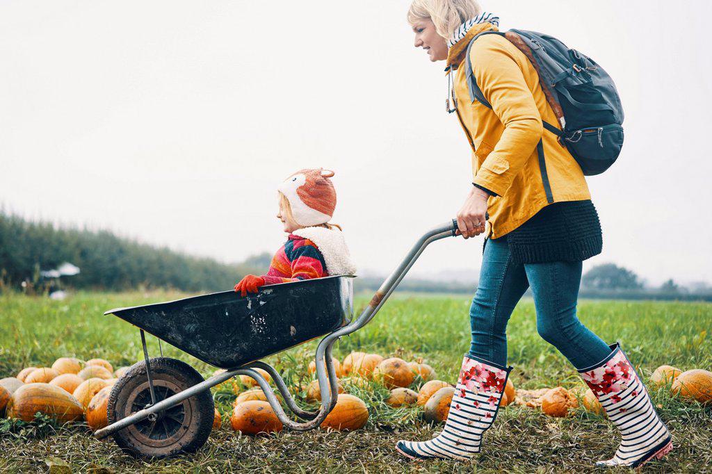 A child being pushed in a wheelbarrow by a woman in a pumpkin field.