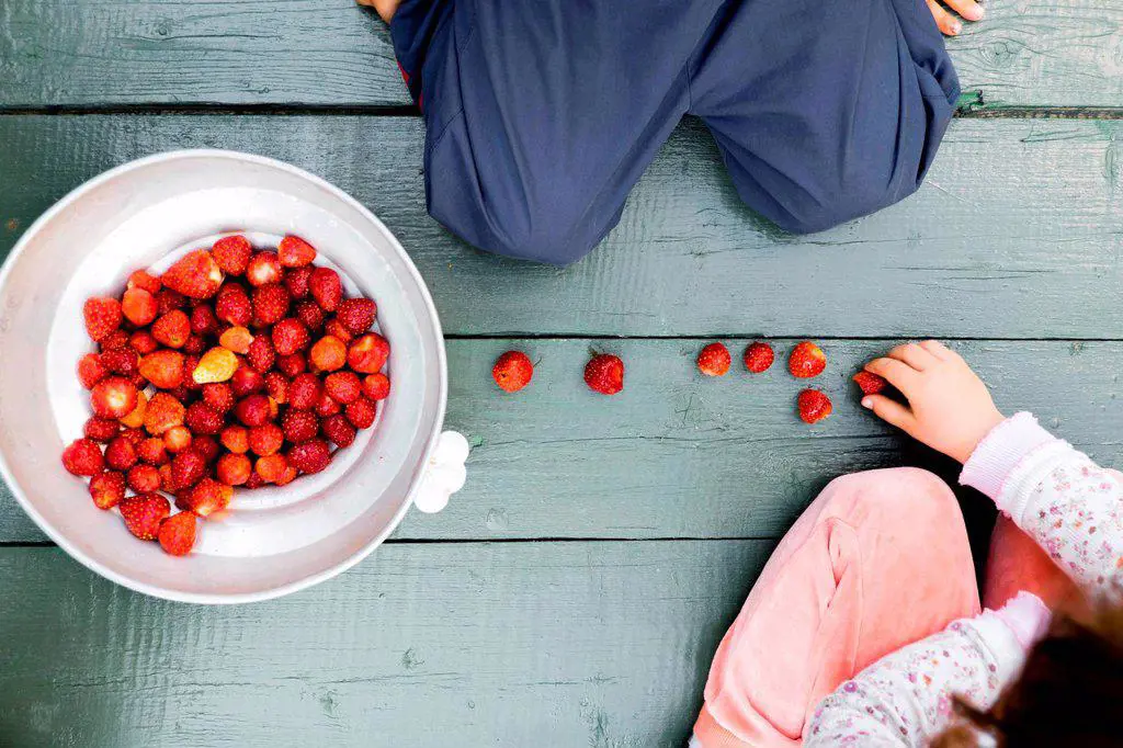 Two children sitting on wooden floor, bowl of strawberries beside them, overhead view