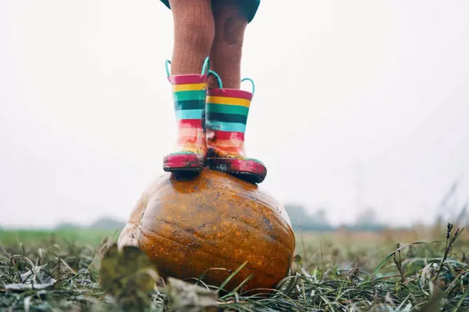A child's feet in stripey wellies standing on a pumpkin in a field.