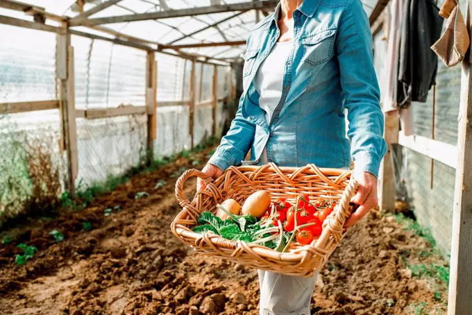 Woman standing in greenhouse on a farm, holding wooden create with freshly picked vegetables.
