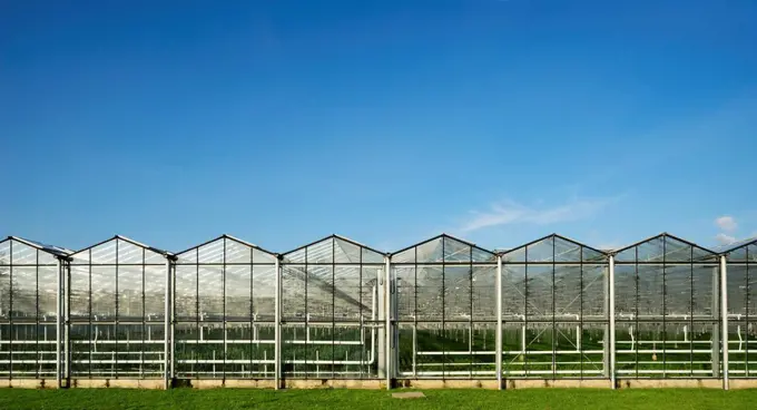 Panoramic view of row of greenhouses and blue sky