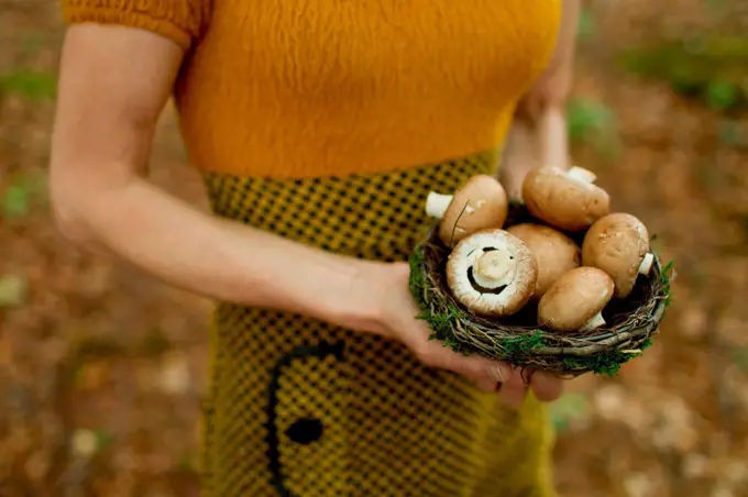 Cropped view of mature woman holding nest filled with mushrooms