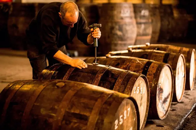 Male worker opening wooden whisky cask in whisky distillery