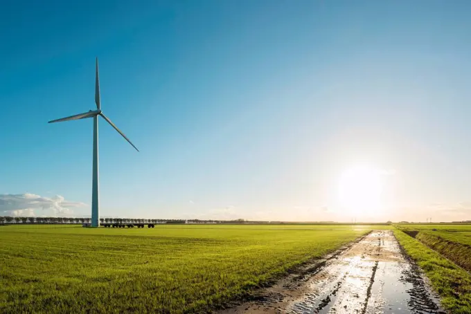 Windturbine in field, Zeewolde, Flevoland, Netherlands, Europe