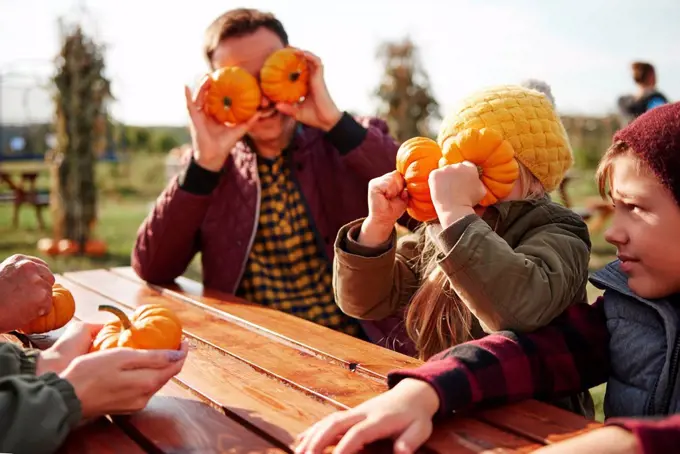 Boy with sister and father fooling around with vegetable squashes in pumpkin patch field