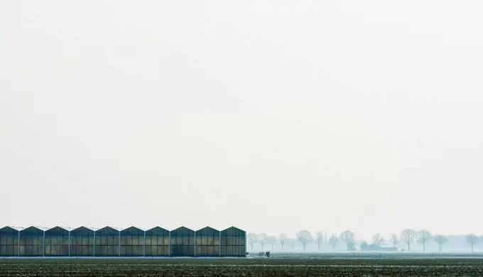 Greenhouse, Dorst, Noord-Brabant, Netherlands