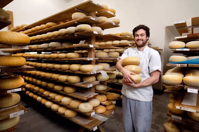 Portrait of cheese maker carrying hard cheeses for inspection, in ageing room where hard cheeses are stored