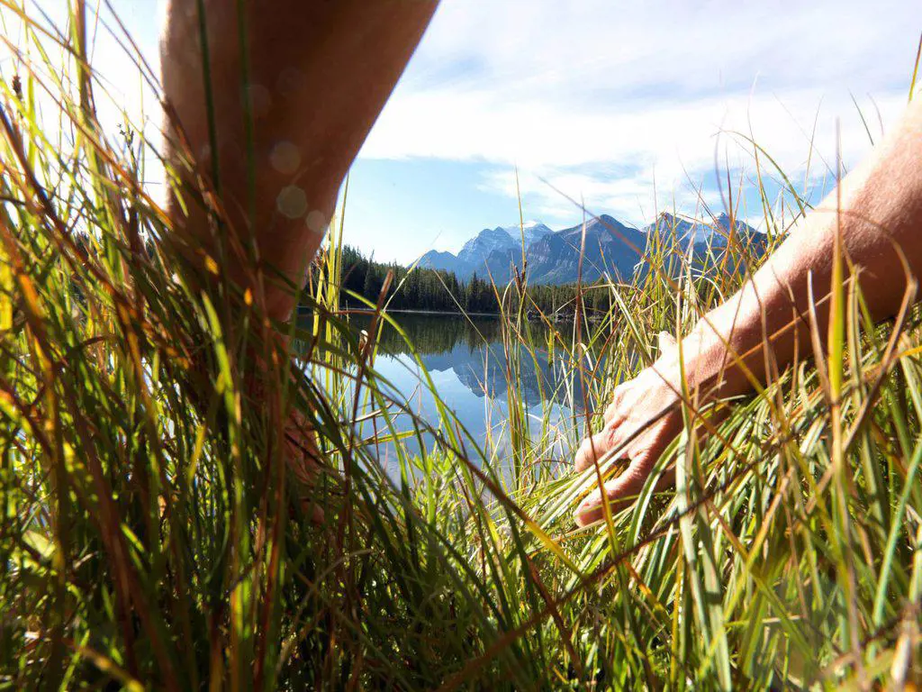 POV to hands pulling back grasses to reveal mountain lake