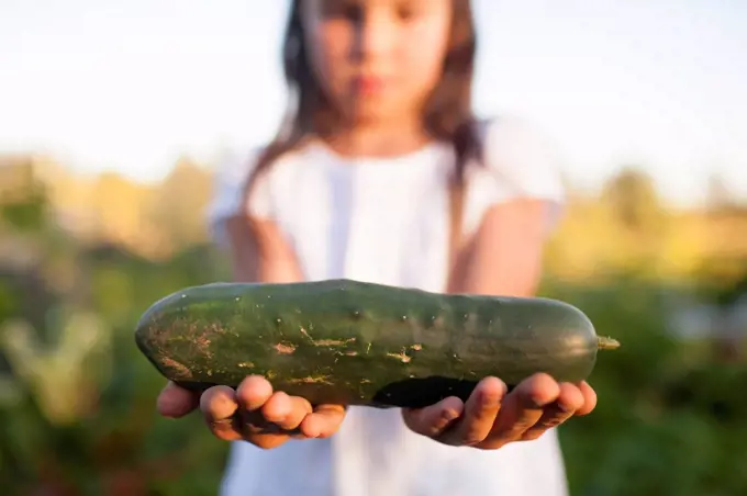 A Young Girl Holding A Freshly Picked Cucumber From Her Garden In Fort Langley