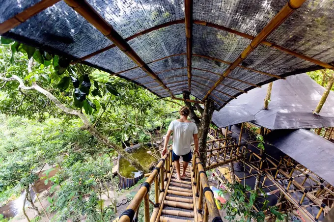 Young man walking on bridge connecting two tree houses, Bali, Indonesia