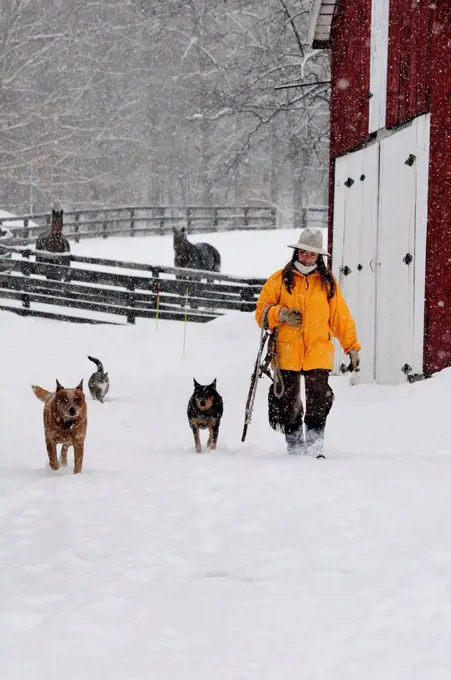 A woman and dogs for a winter walk