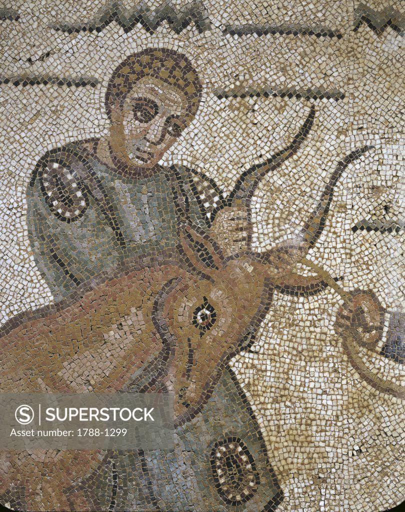 Stock Photo: 1788-1299 Italy - Sicily Region - Piazza Armerina - Roman Villa of Casale (4th century) - Corridor of the Great Hunt - Mosaic work - Bull transportation - Detail