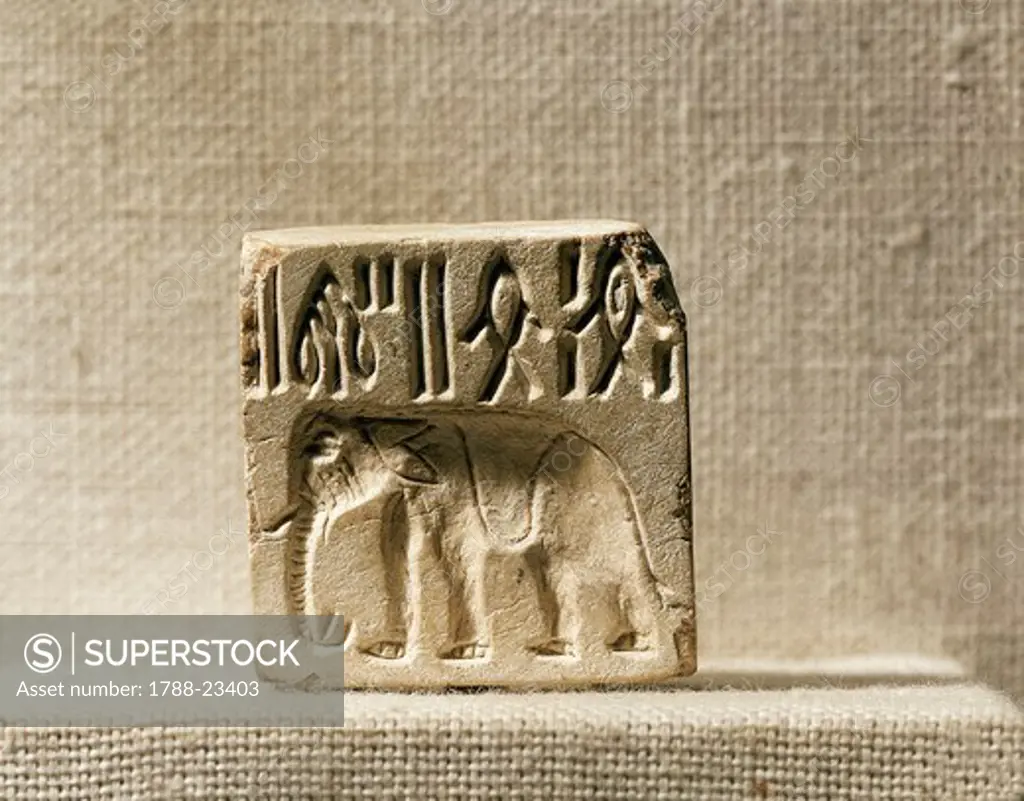 Steatite seal depicting an elephant, late Mohenjo-daro period - SuperStock