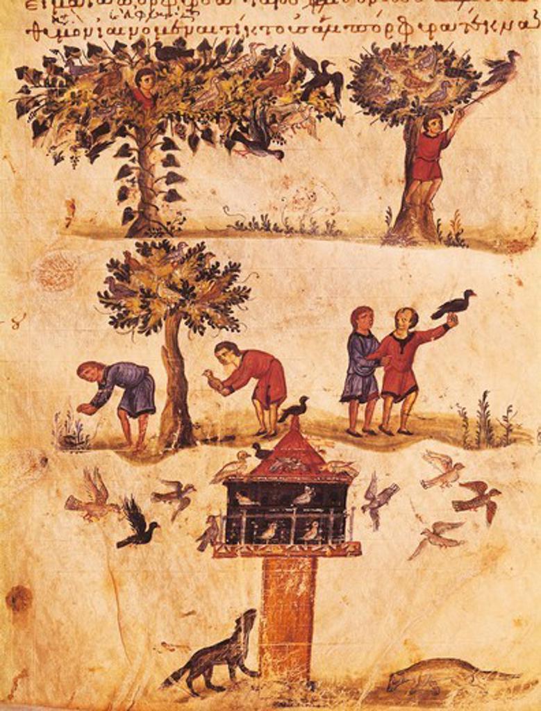 The world of birds, miniature from De Venatione, Greek treatise on hunting, manuscript, 11th Century.