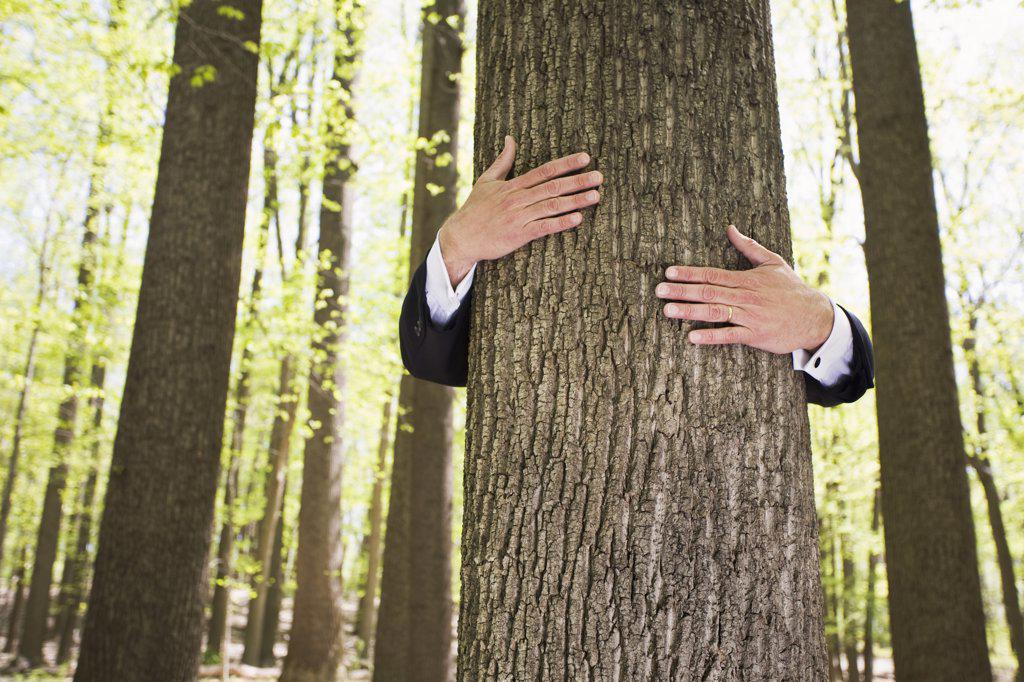 Tree hugging business executive