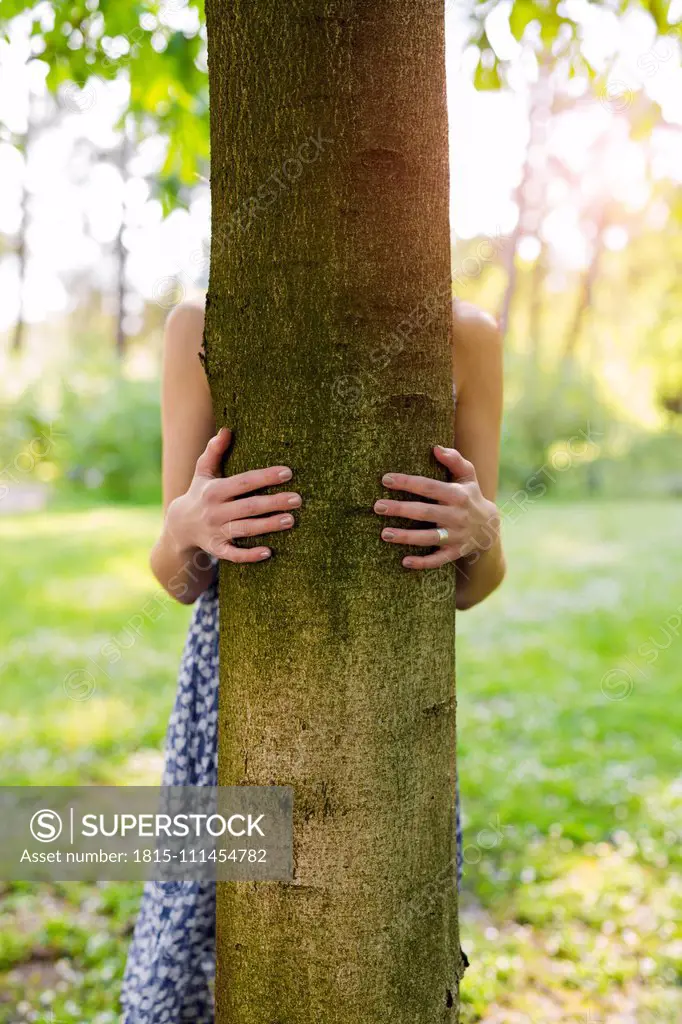 Hands of a woman hugging a tree