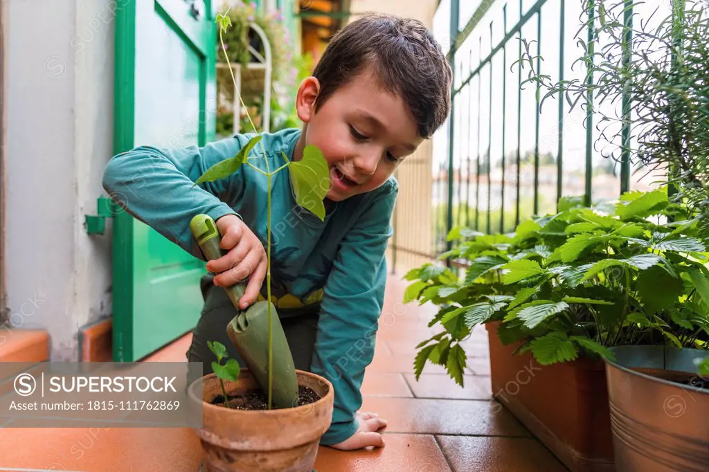 Little boy gardening on balcony