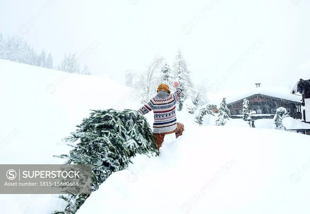 Man coming home, waving and pulling Christmas tree in the snow