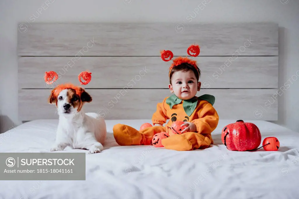 Cute baby boy and dog wearing halloween costume sitting on bed at home