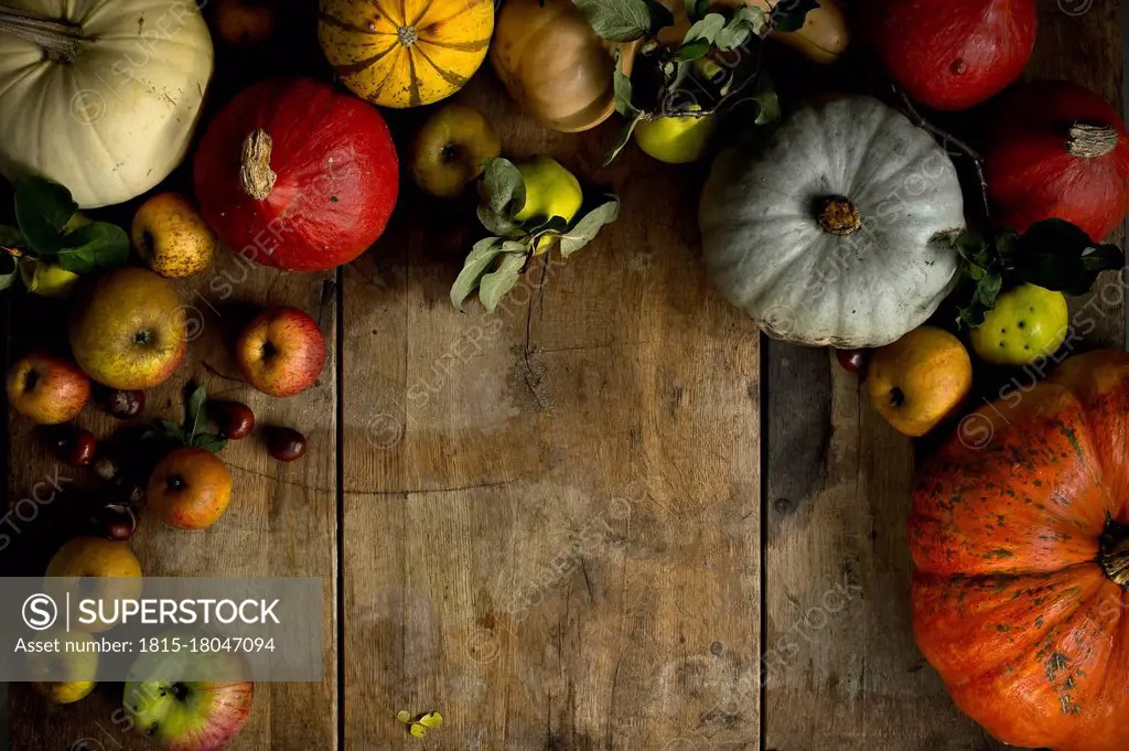 Large variety of fresh pumpkins, squashes and other fruits on wood