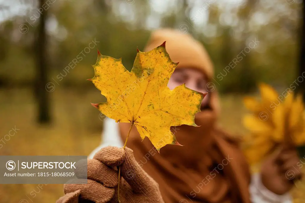 Young woman showing autumn leaf in public park