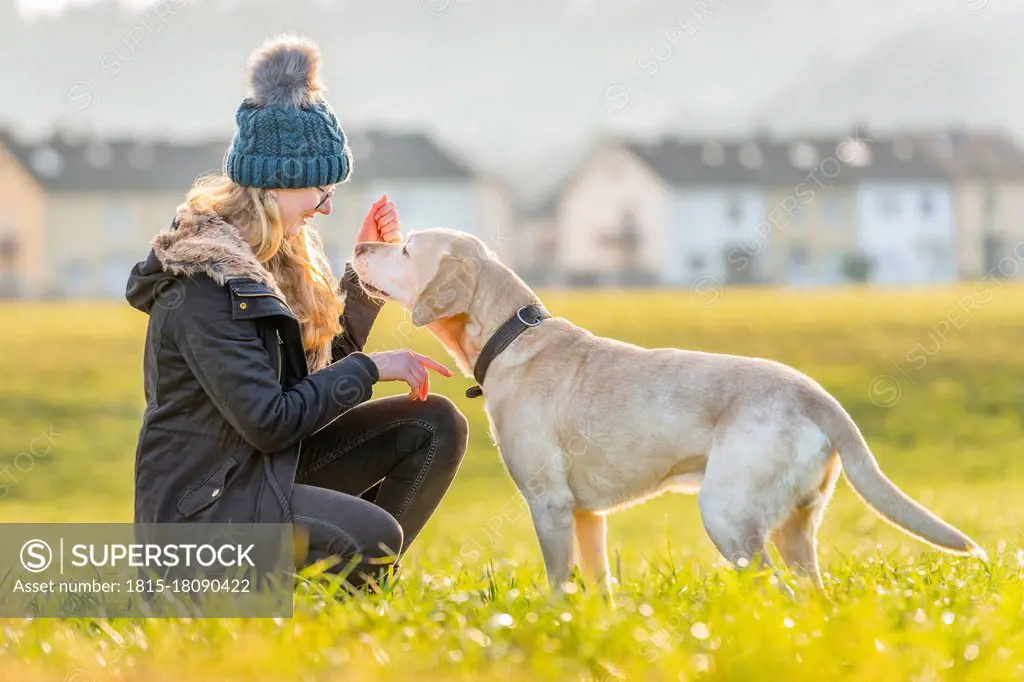Young woman stroking pet dog in nature