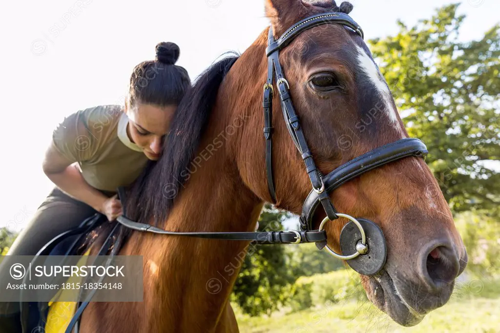 Woman leaning while sitting on horse