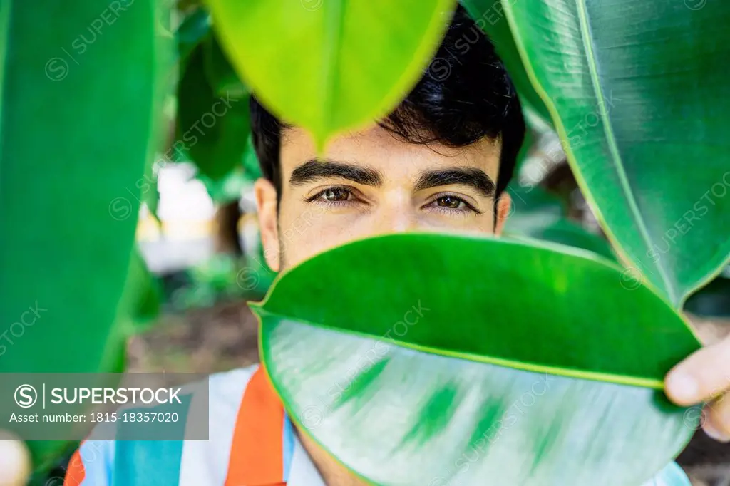 Young man covering face with green leaf