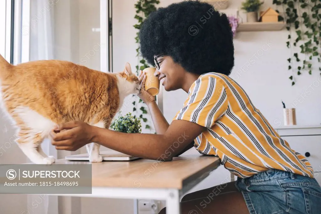 Afro woman playing with cat on desk at home