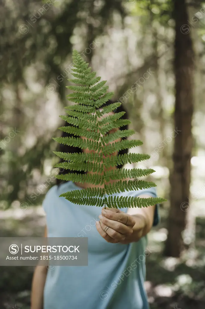 Mid adult woman holding green fern leaf in forest