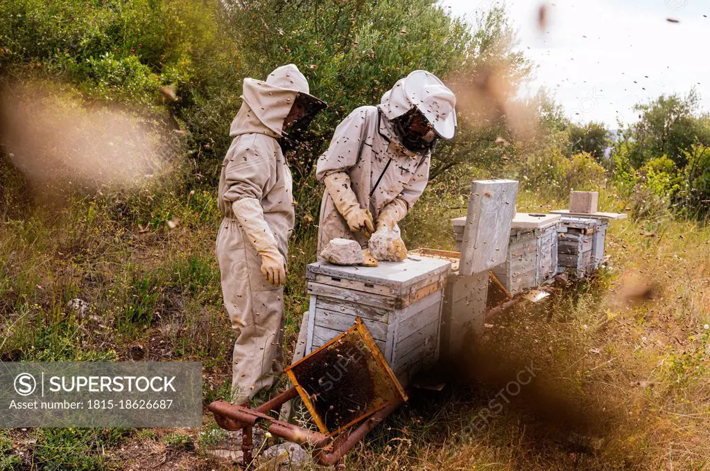 Male and female beekeepers working at farm
